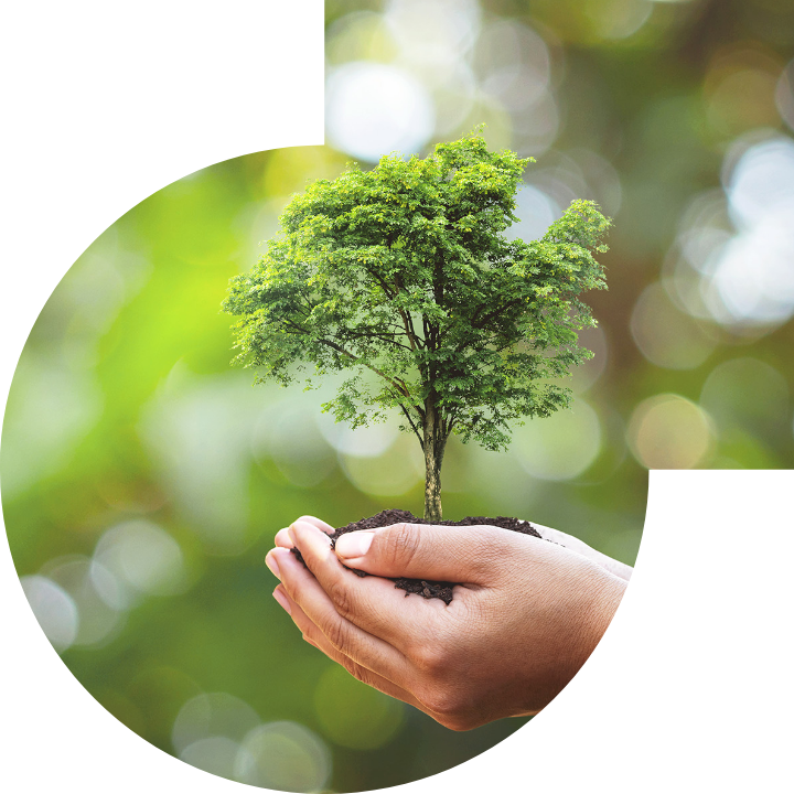 关怀人类、文化、环境与社会